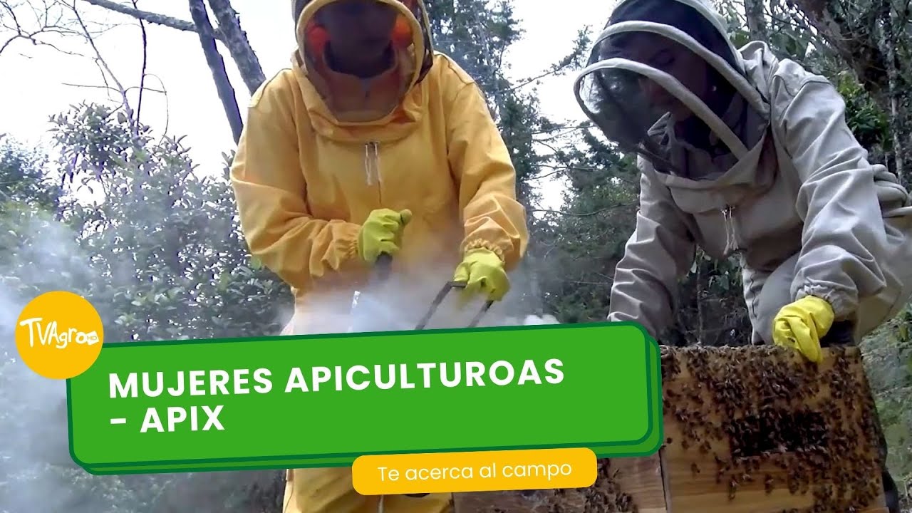 Mujeres apicultoras / Apix - TvAgro por Juan Gonzalo Angel Restrepo