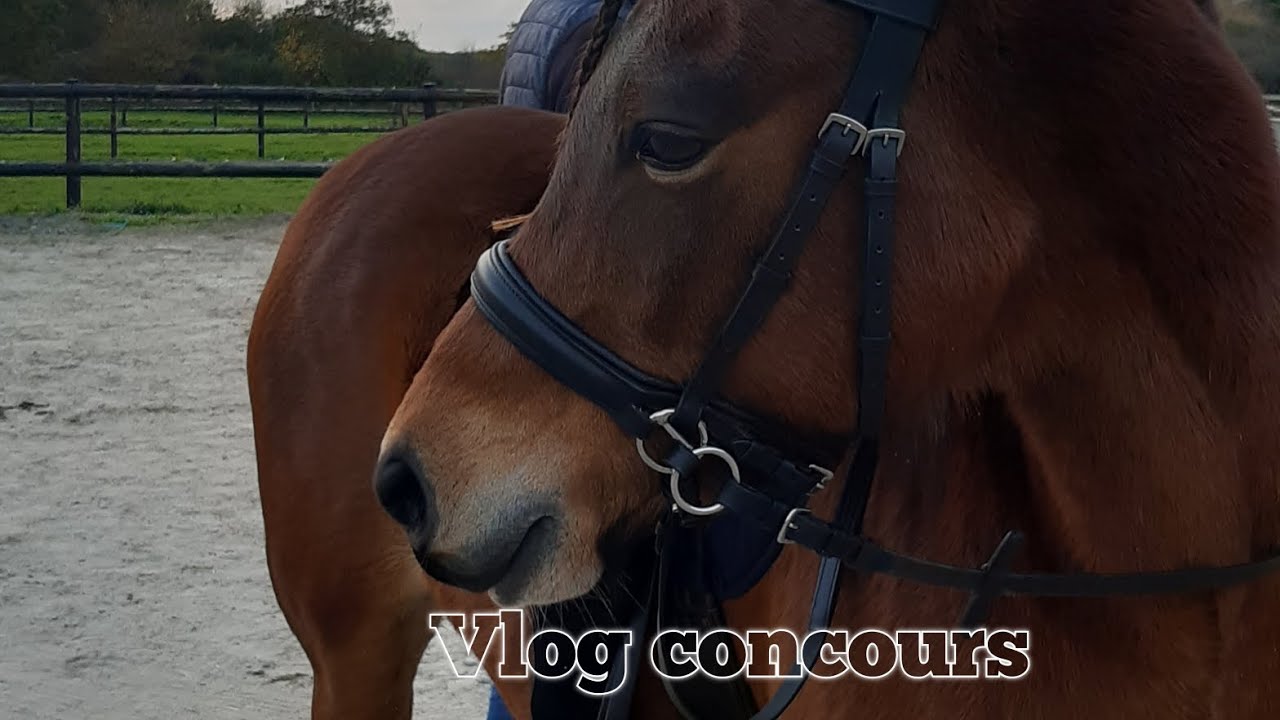 vlog concours equifun ,sans mors avec Freizh
