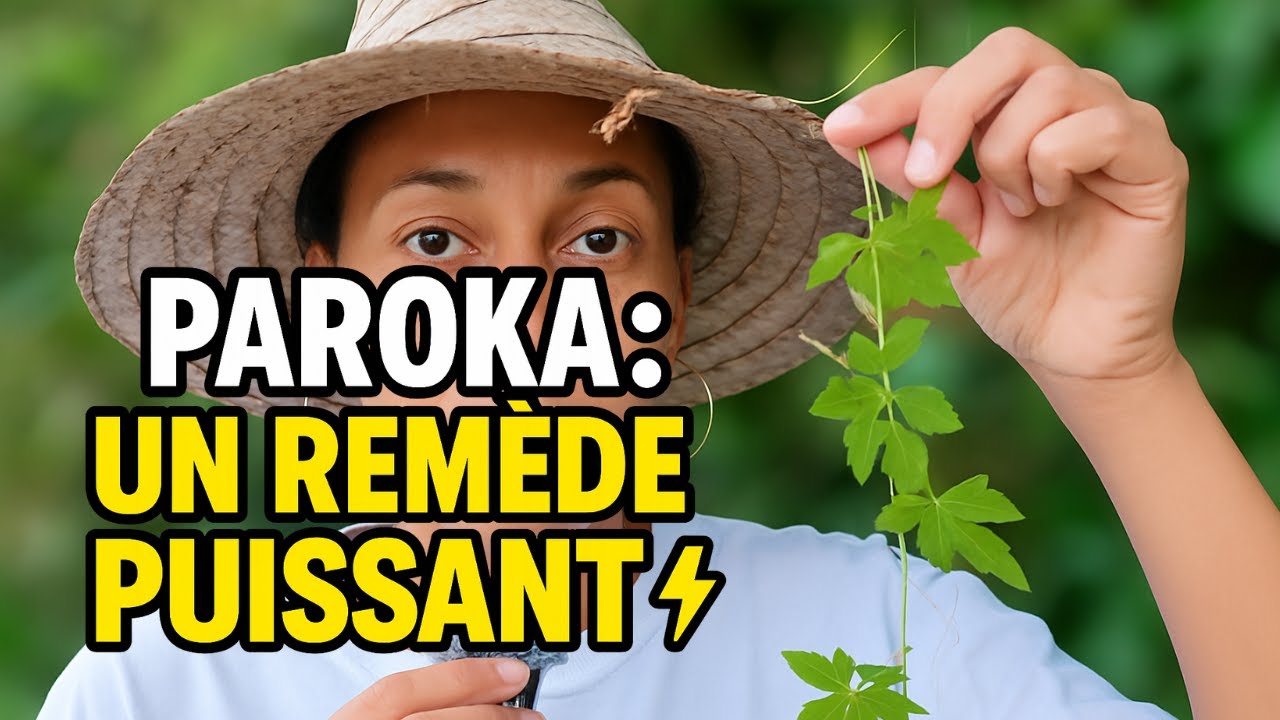 Cette plante am&egrave;re est un tr&eacute;sor cach&eacute; ! #plantesmedicinales