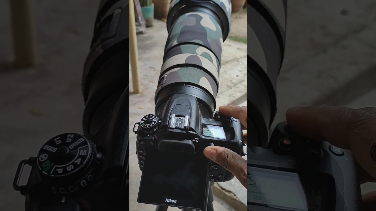 Nikon D7500 Continuous Low Shutter #nikon #camera #ytshort #ytshortsindia