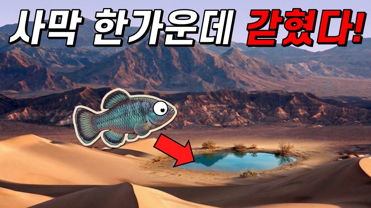 그것도 물고기가... 200마리도 안 남은 물고기의 사막 고립기!
