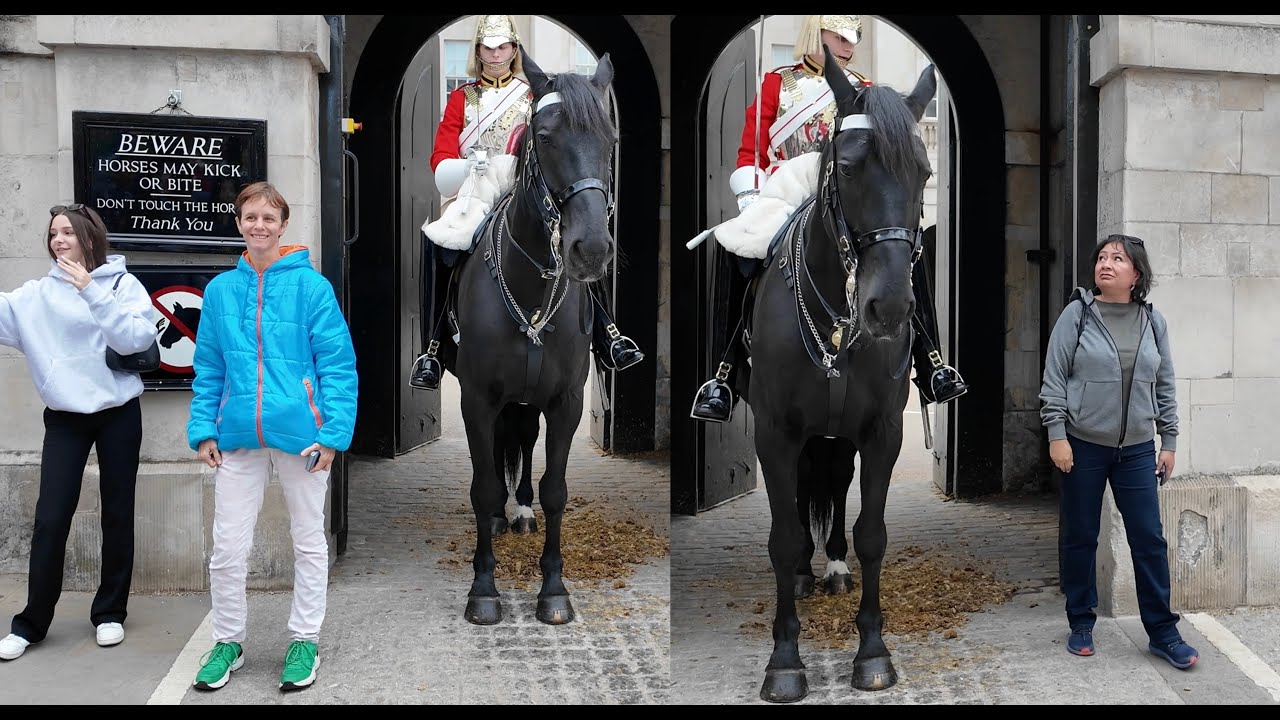 15 Ignorant Tourist Moments the Guards Couldn’t Ignore 😡. 