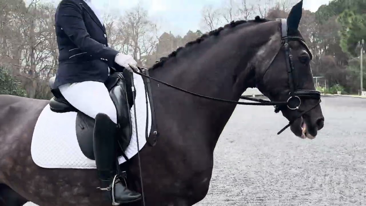 Ellen Witterstaeter and Axel 3-1