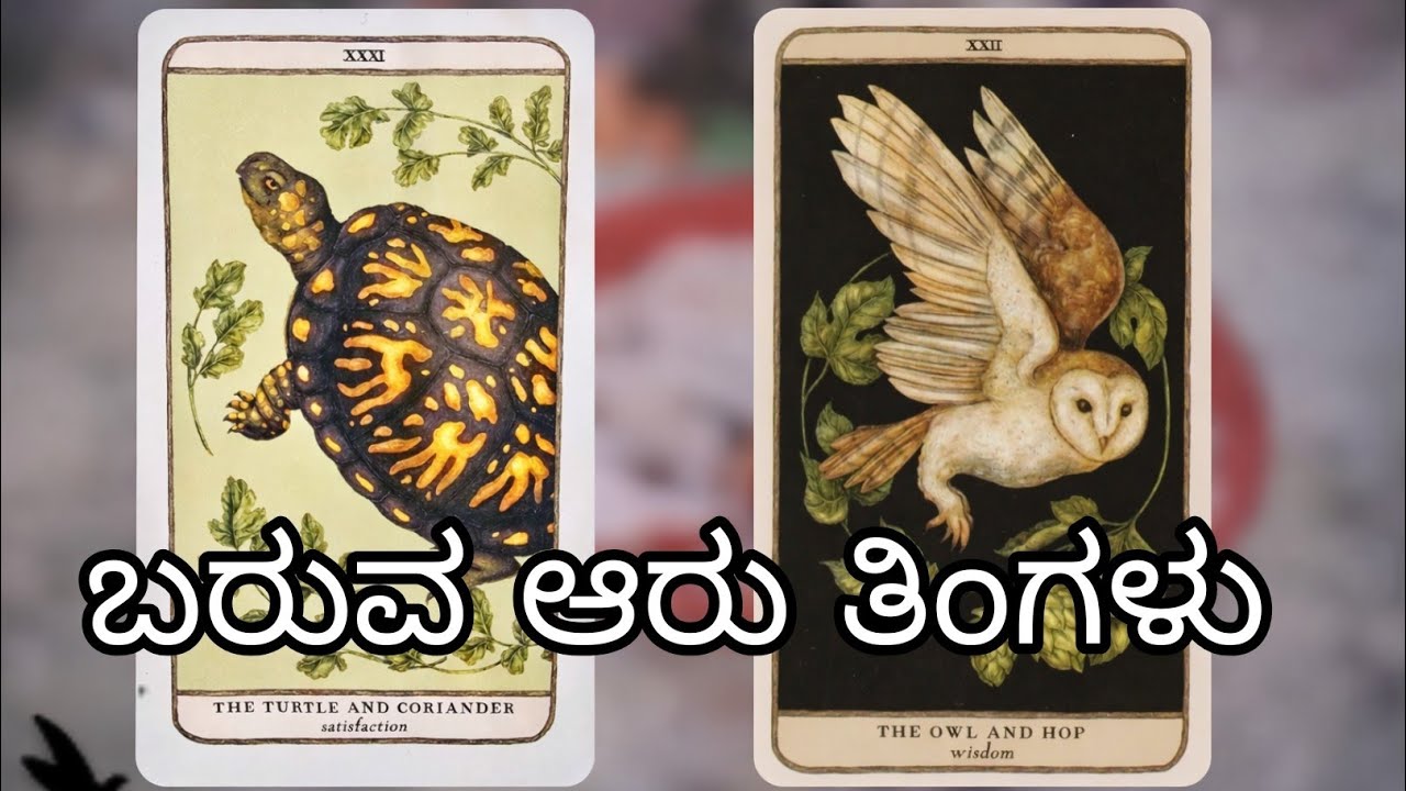 ಮುಂದಿನ 6 ತಿಂಗಳು ನಿಮ್ಮ ಜೀವನದಲ್ಲಿ ಏನು ನಡೆಯಲಿದೆ? 🔮✨✨😲