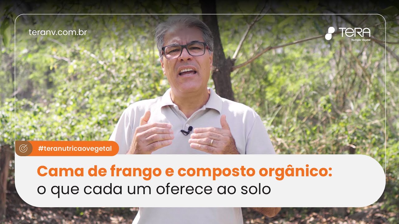 Cama de frango e composto org&acirc;nico: o que cada um oferece ao solo