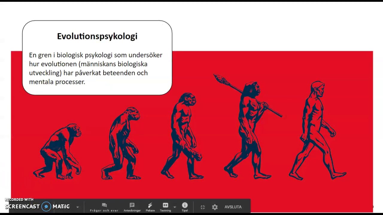 Biologisk psykologi - del 2