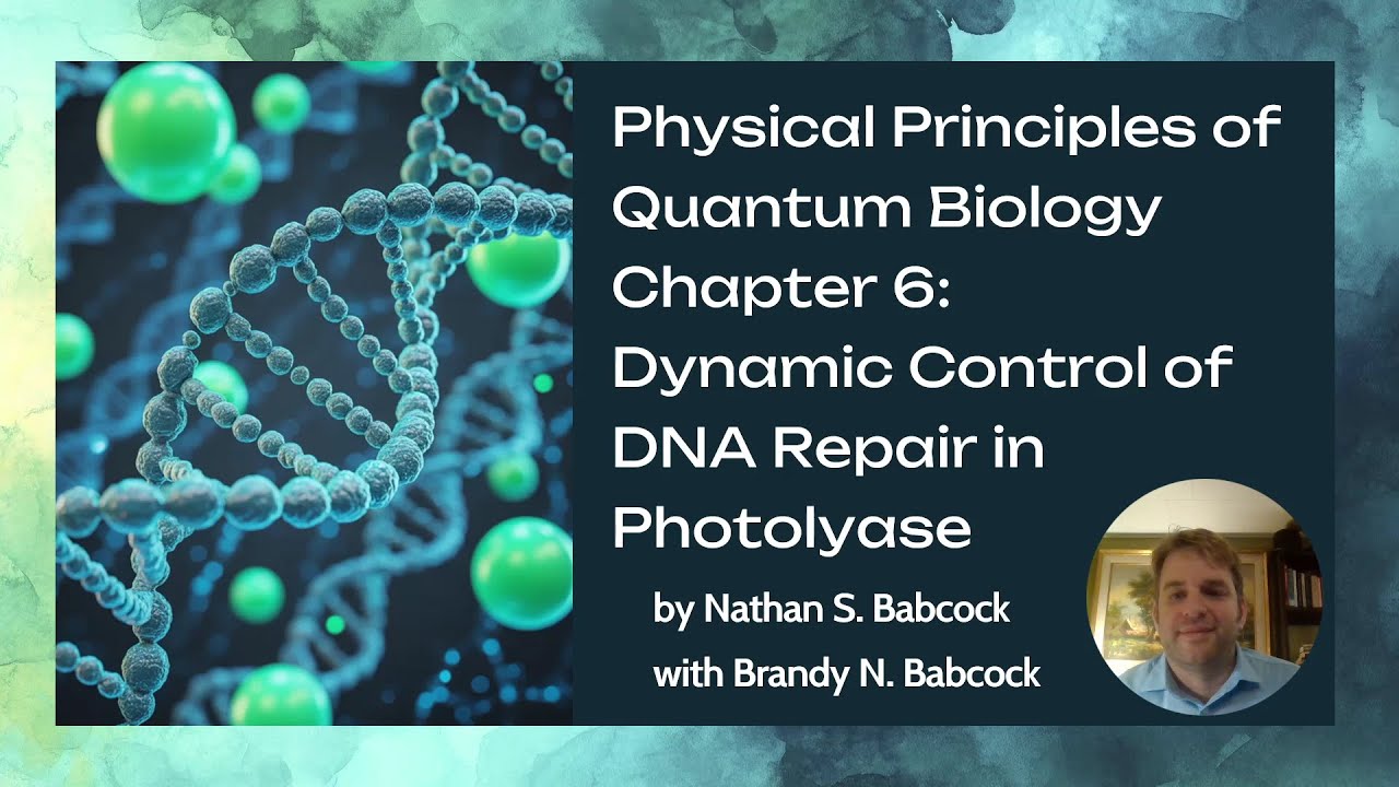 Dynamic Control of DNA Repair in Photolyase - Ch.6 of Physical Principles of Quantum Biology