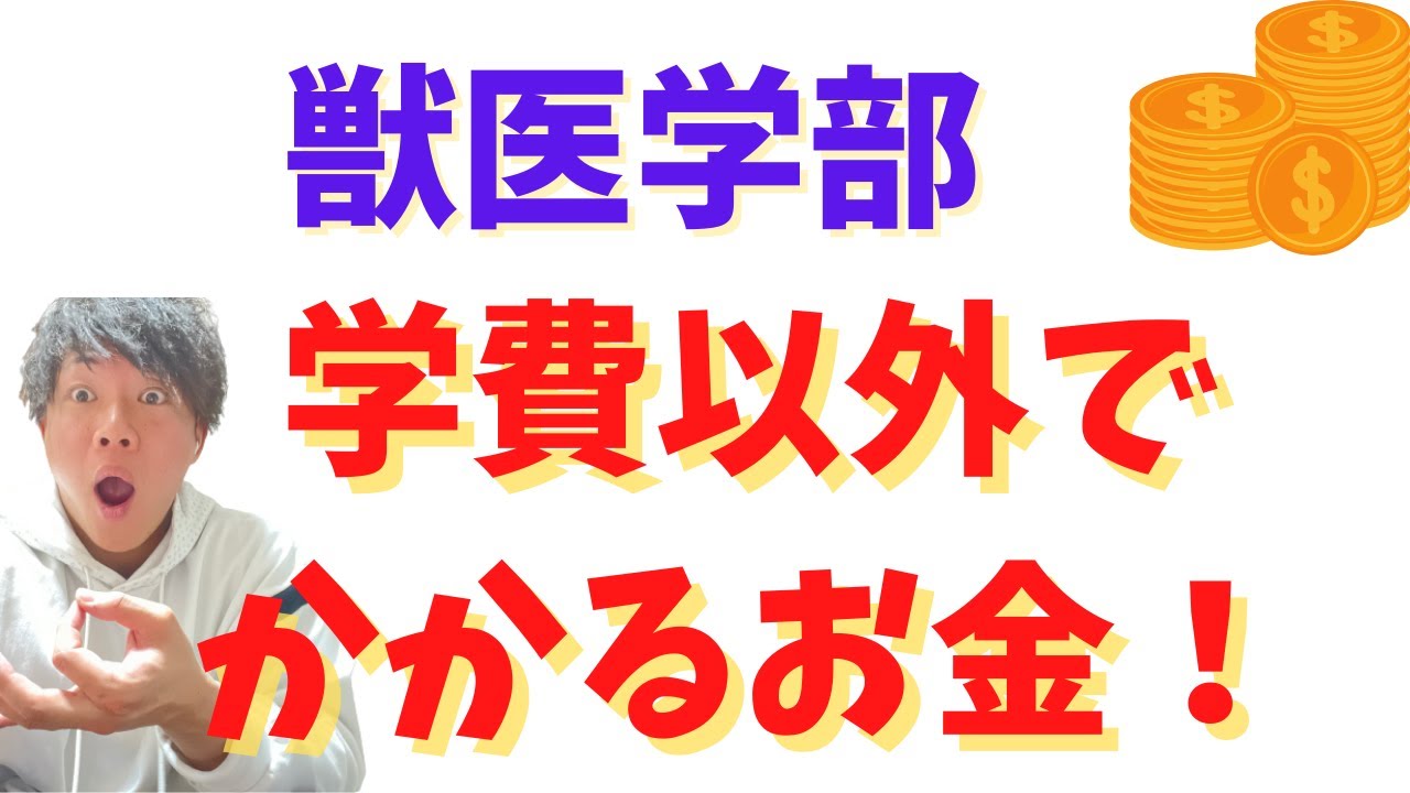 獣医学部で学費以外に掛かるお金ってどのくらい！？獣医師が徹底解説！！