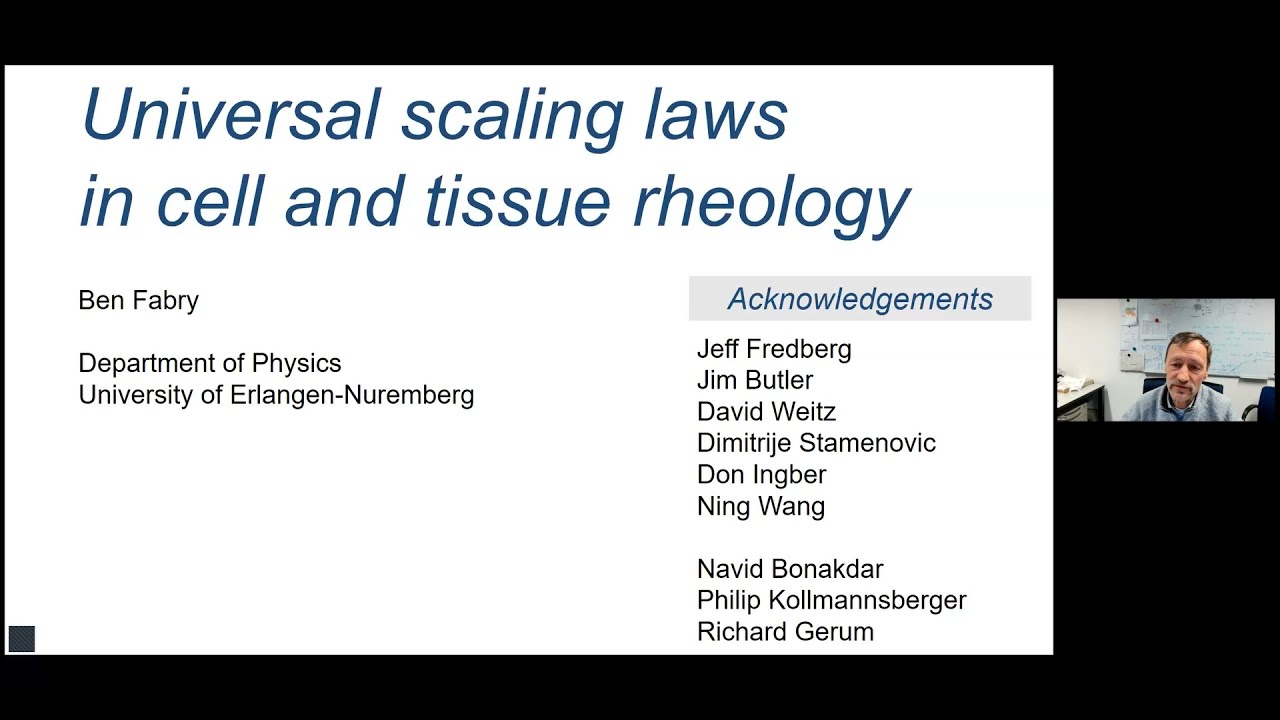 Ben Fabry - Universal scaling laws in cell and tissue rheology