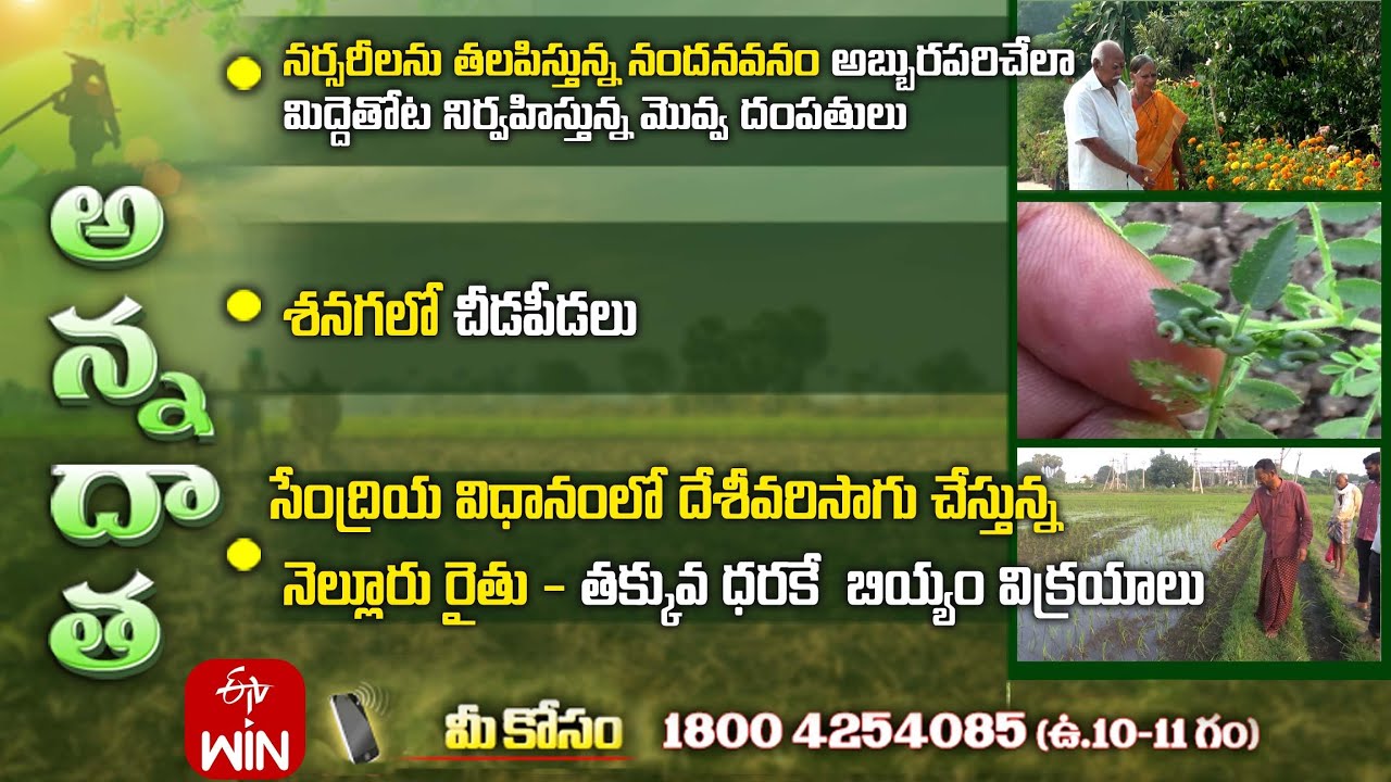 14th January 2026 | Annadata | అన్నదాత | Full Episode | ETV Telugu