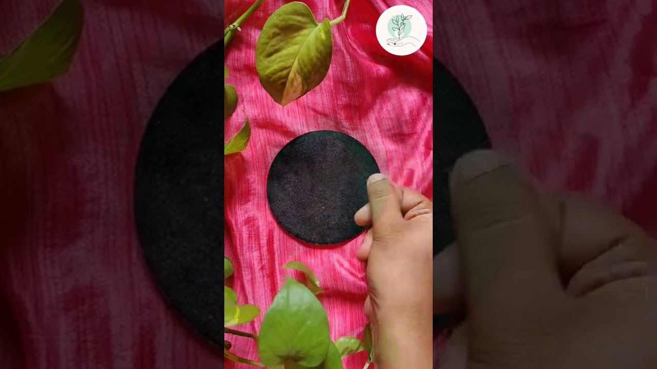DIY MDF coaster idea #shorts #satisfying #youtubeshorts #coaster