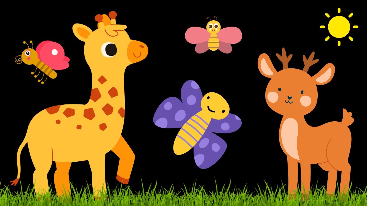 Baby Sensory - Calm Baby Music - Sensory Videos For Babies - Visual Stimulation Newborn #baby