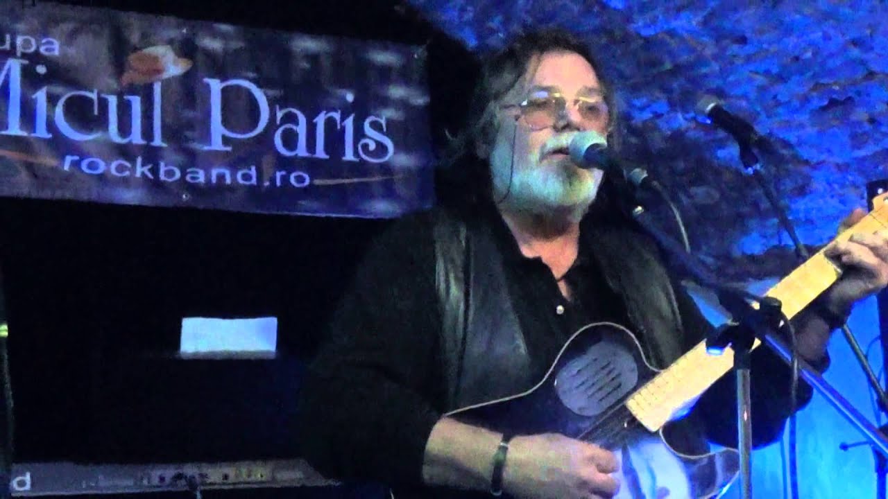 Mircea Bodolan - Rănitul dintre linii