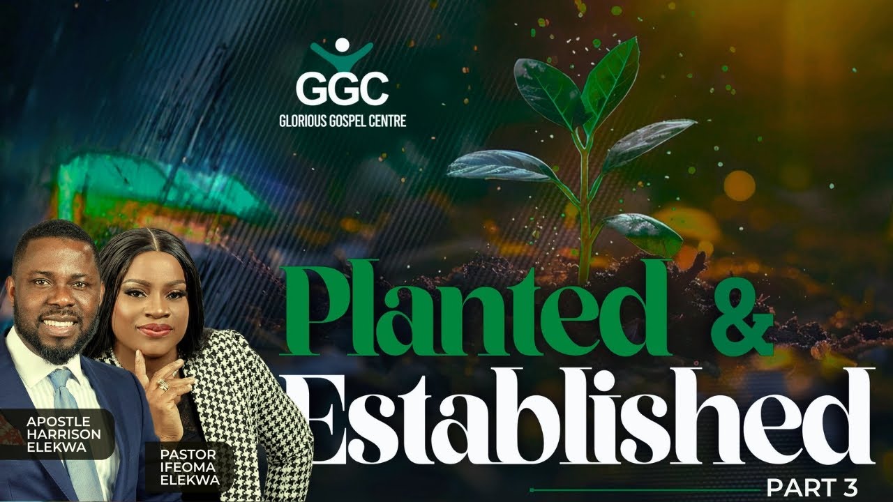 Planted and Established | Part 3