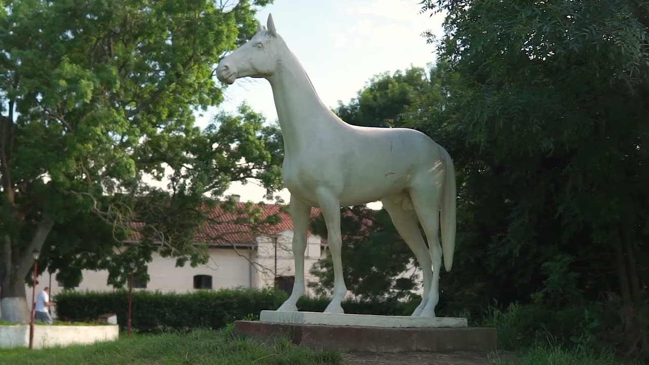 Ergela Ljubicevo