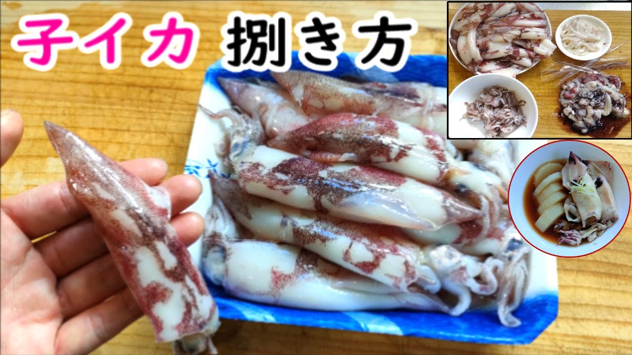 子イカ下処理方法、簡単で無駄がない捌き方