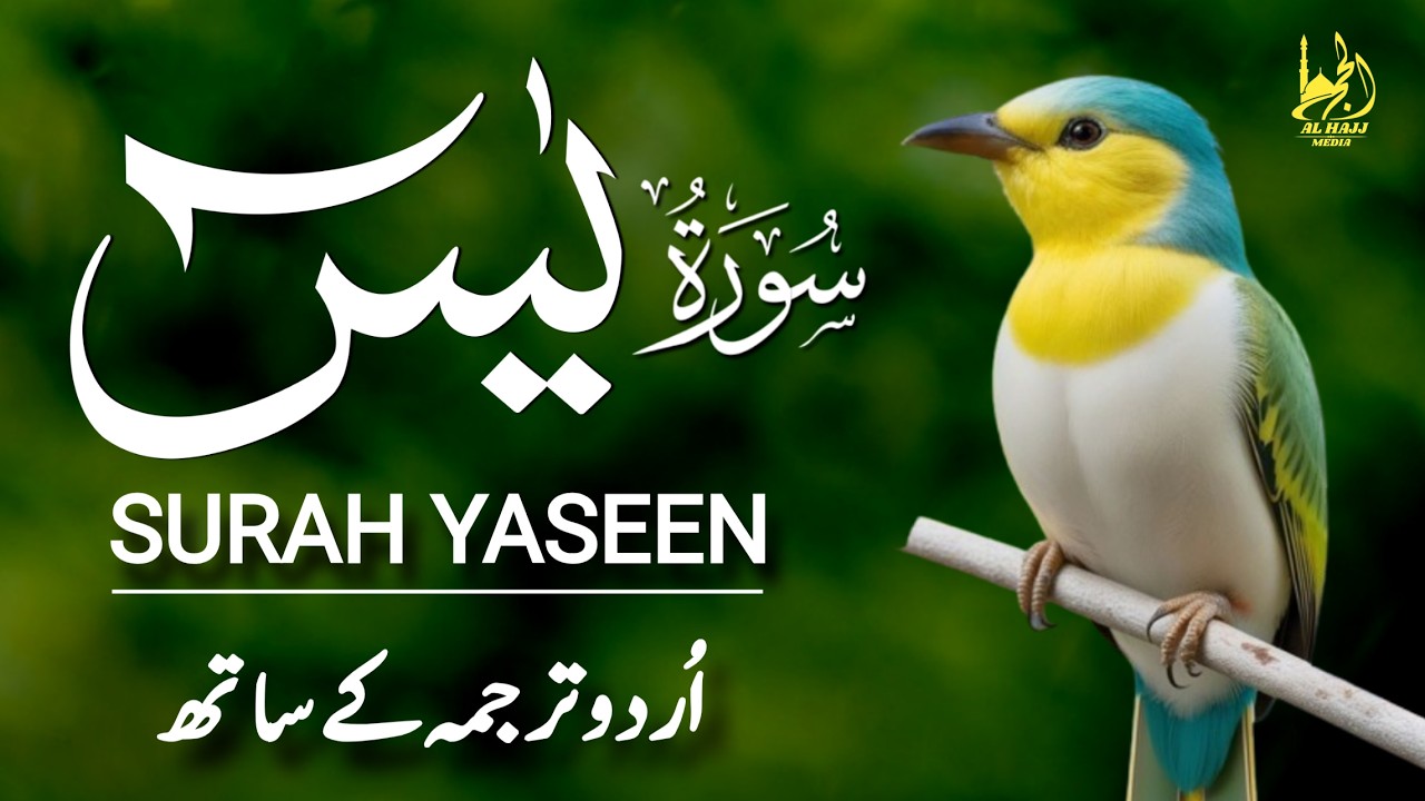 Surah Yaseen With Urdu Translation Full | Best Tilawat | Episode - 427