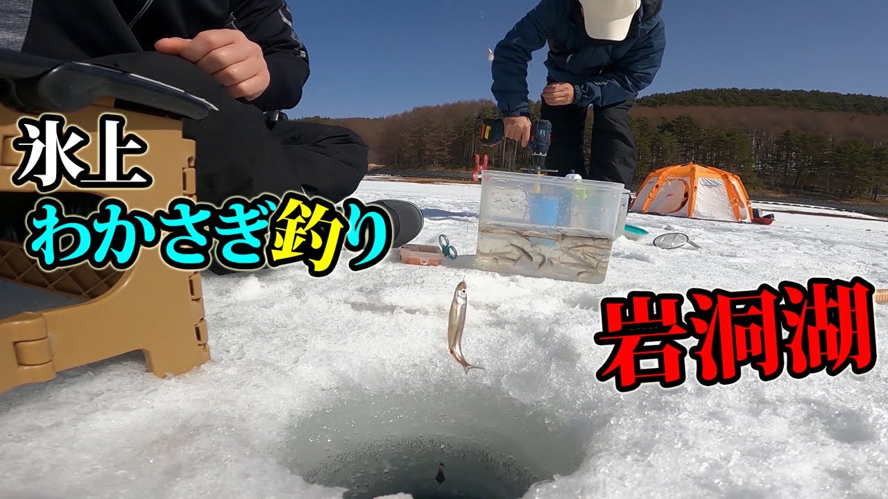 【わかさぎ釣り】本命は”鱒(サクラマス)”、春先の岩洞湖を楽しむ。