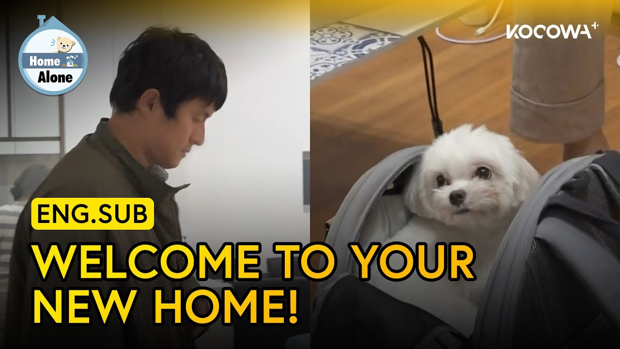 Kian & His Mom Welcome Their Foster Dogs To Their Home! 🥰 | Home Alone EP628 | KOCOWA+
