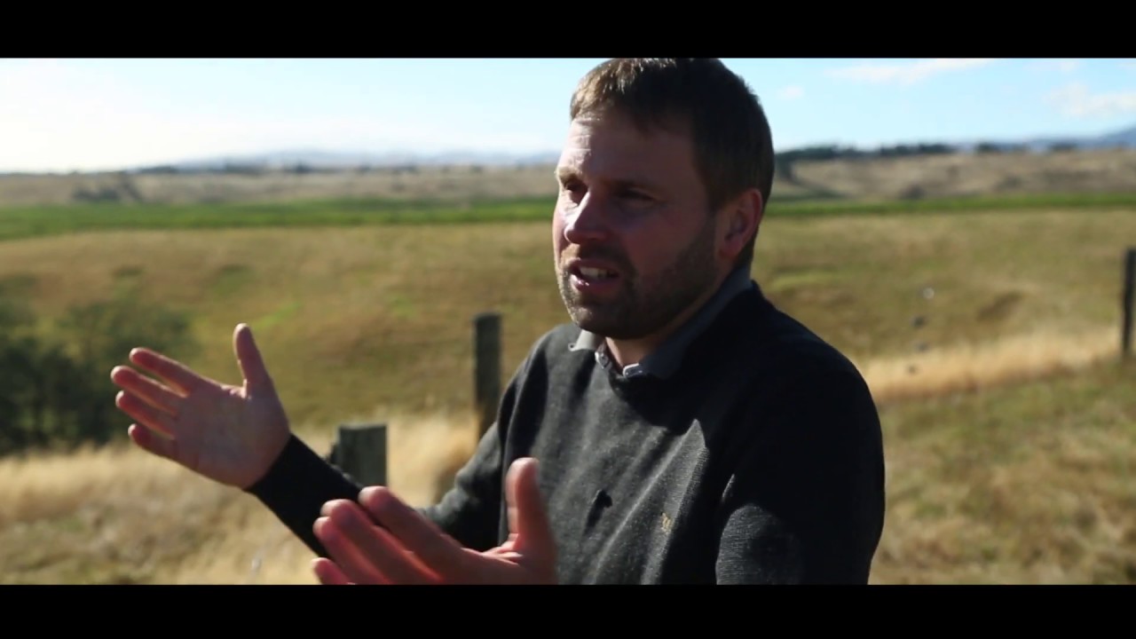 Marlborough : le vin de Nouvelle Zélande
