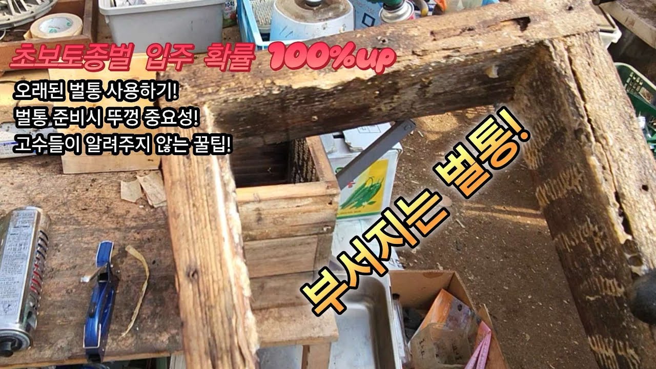 초보토종벌  올해 벌통 준비! 100%입주 확율 비밀 꿀팁! #토종벌 #초보토종벌 #토종꿀통