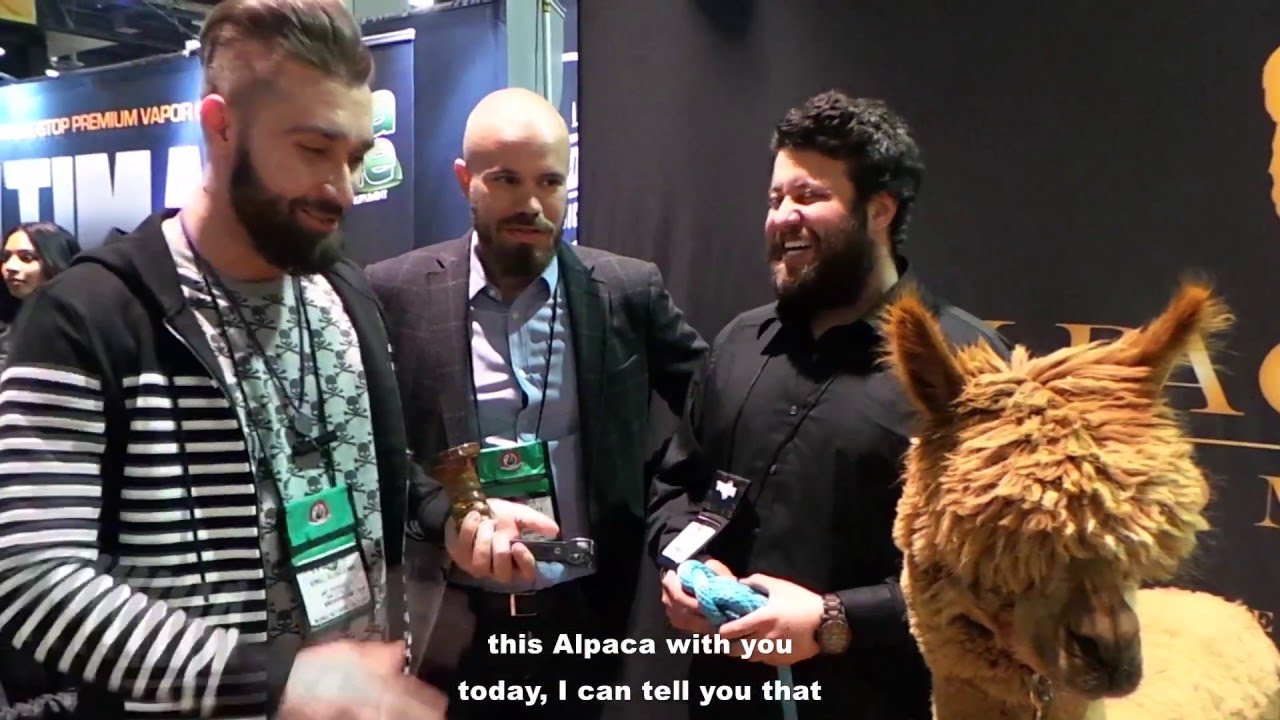HOOKAH BOSS - Episode 46: Las Vegas Tobacco Plus Expo 2016, Кальянная выставка в Лас Вегасе!