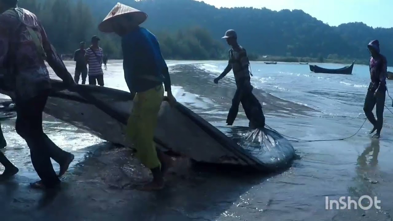 TARIK PUKAT DARAT NELAYAN TRADISIONAL ACEH