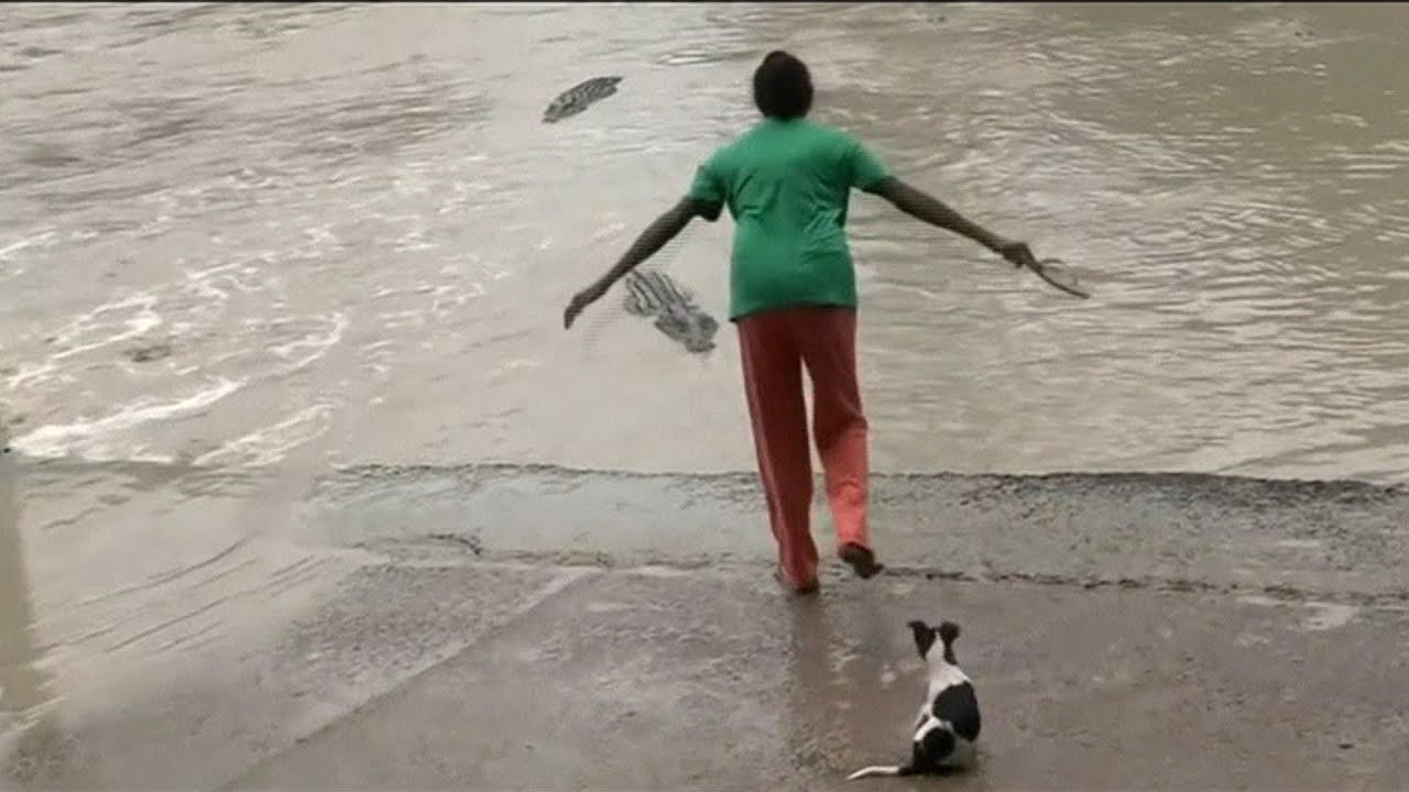 Mulher não se intimida e enxota crocodilo ameaçador batendo chinelo na Austrália