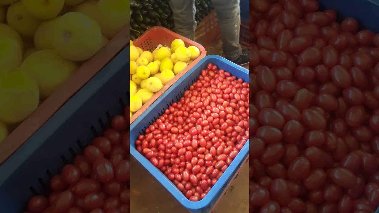 صوق مسنانة بمدينة طنجة  🍇🍈🥝🥒🥑🥦🍆🌽🍅🍓🍒