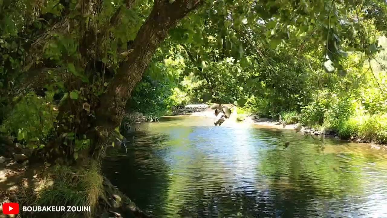 أروع الأماكن السياحية بواد الزهور  ولاية سكيكدة الجزائرية