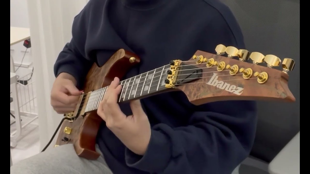 Through The Fire Cover(Ibanez RGT1220PB Demo)