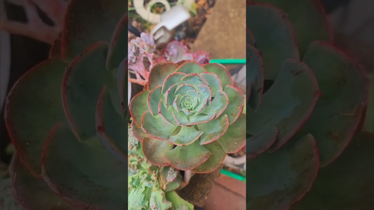 Take at a peek at my frillies . Part 1.
