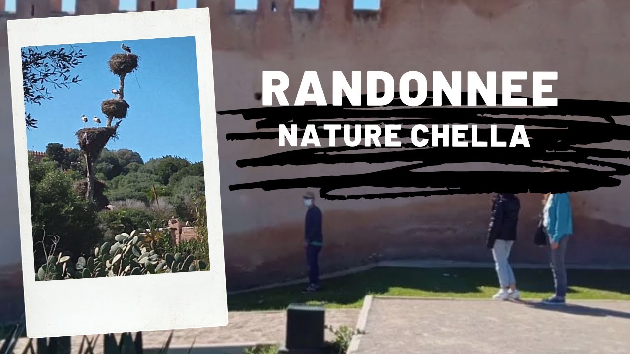 Au Cœur de Rabat Randonnée Nature Ville de Chella Partie three