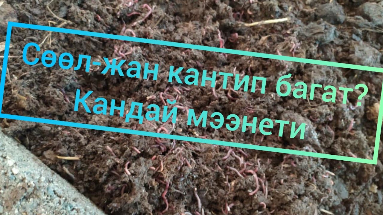 сөөл жан кантип багат ?