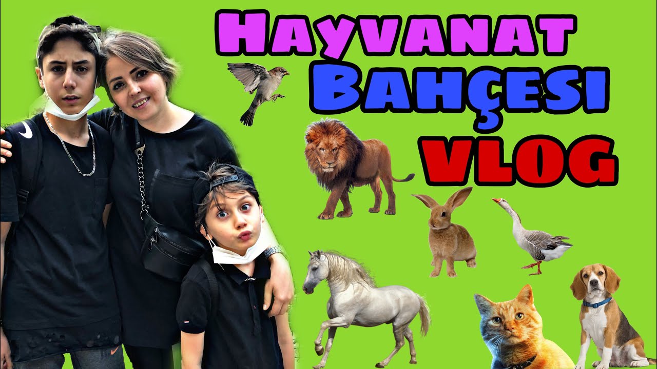 HAYVANAT BAHÇESİ VLOG