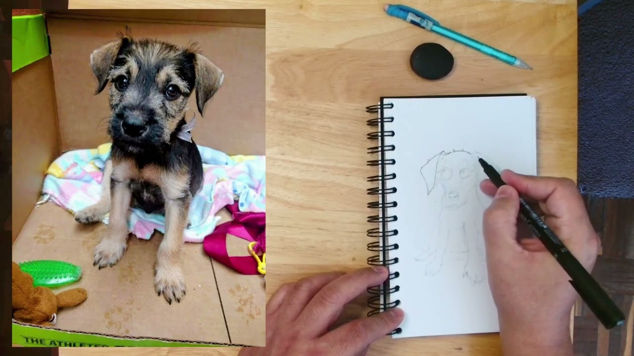 let's draw together: Puppy Ugo.