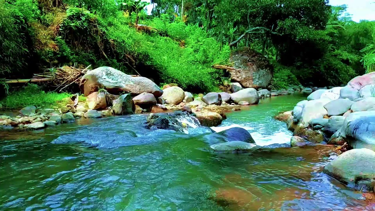 Forest River Flow Nature Sounds for Deep Sleep, Full Relaxation, and Restorative Rest
