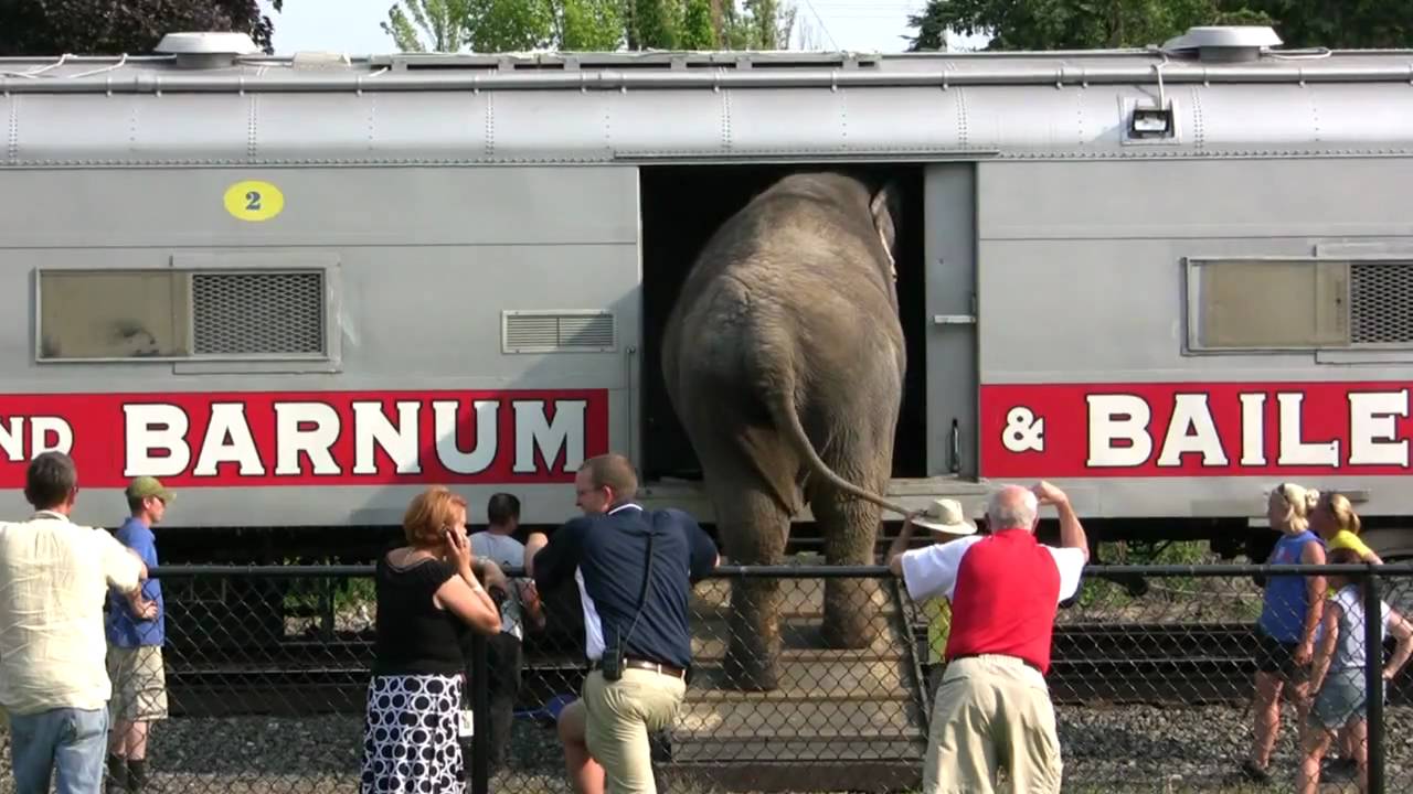 Ringling Brothers and Barnum & Bailey Circus Train at Hershey