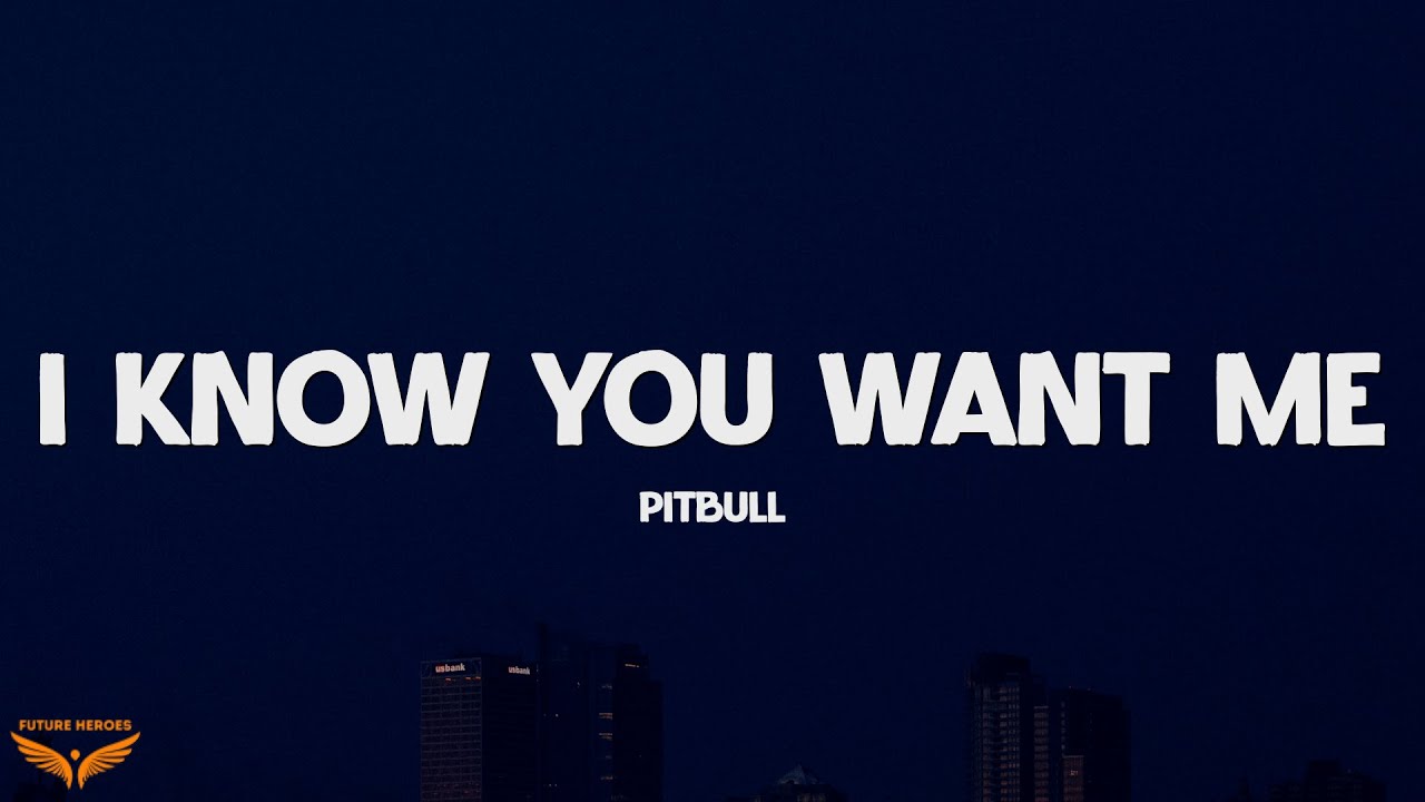 Pitbull - I Know You Want Me (Calle Ocho) (Lyrics)