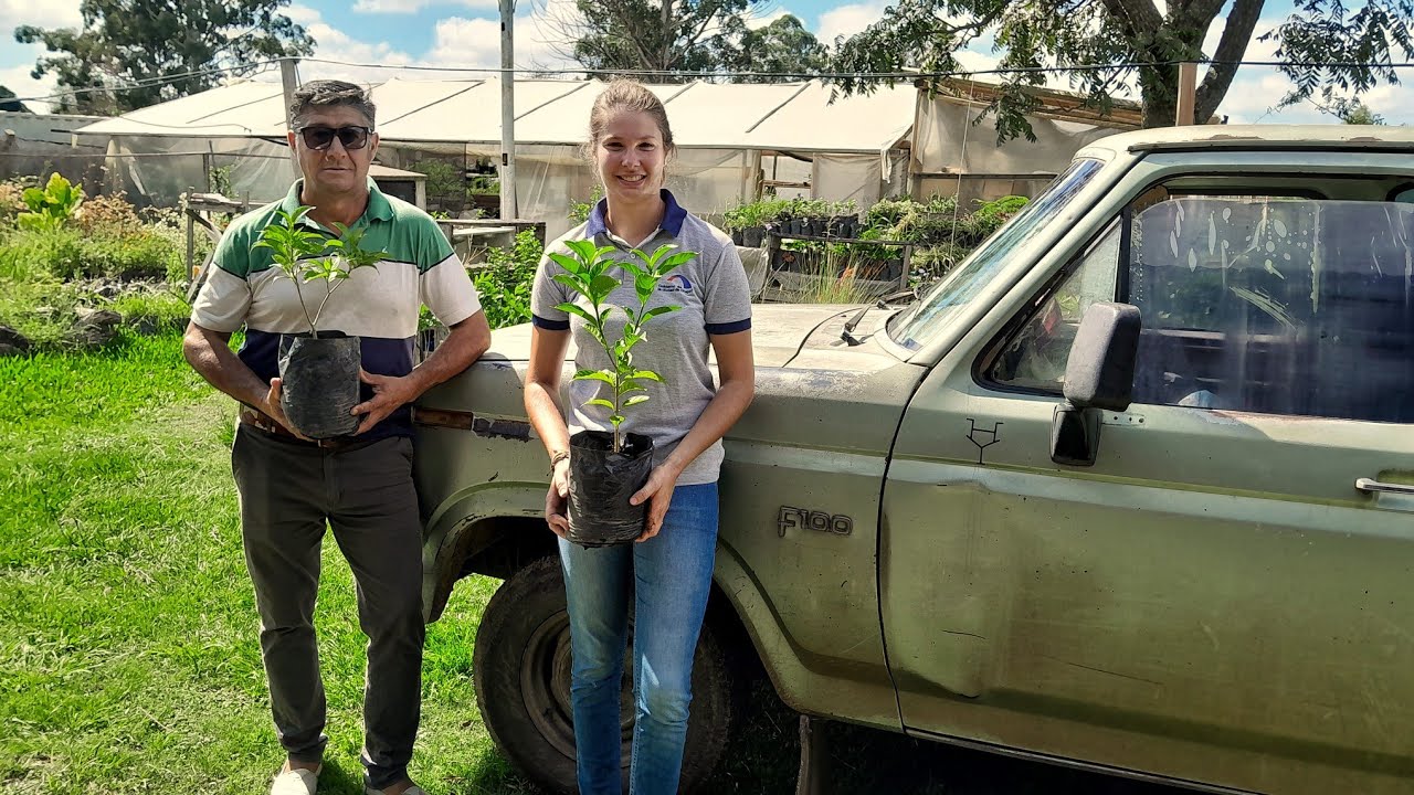 Convirtieron una CASONA de CAMPO de M&Aacute;S de 100 A&Ntilde;OS en un enorme PULM&Oacute;N para esta CIUDAD | Chajar&iacute;