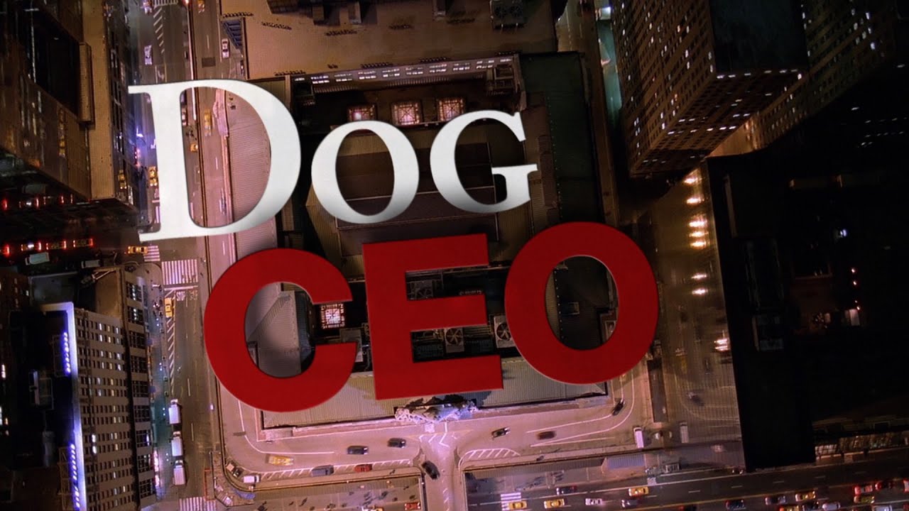 DOG CEO Series Trailer