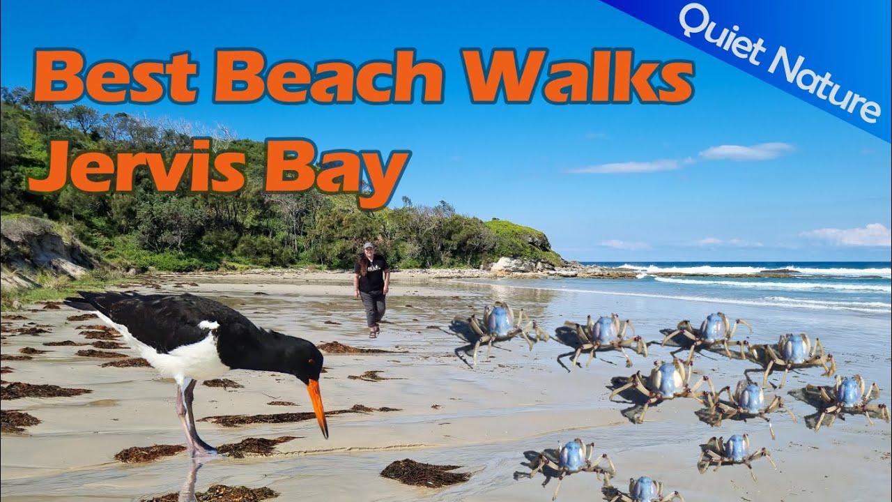 Quiet Nature: Best Beach Walks Vol.1 - Jervis Bay, Australia