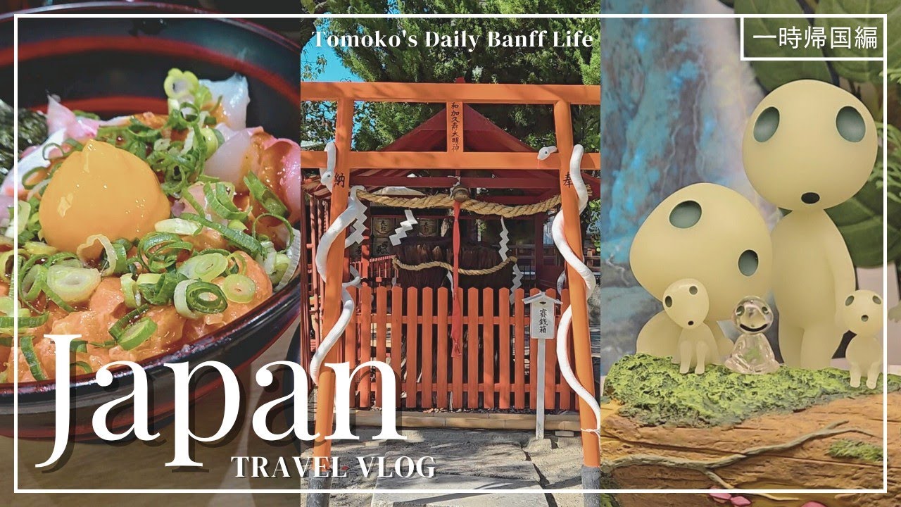[一時帰国vlog] 前編 日本で秋と美味しいご飯を楽しむ | どんぐり共和国 | 京都さんぽ | Enjoying Autumn & Delicious Food in Japan (Part 1)