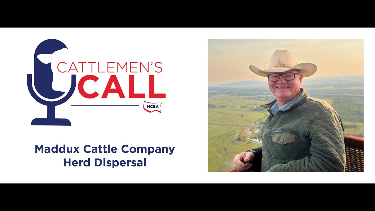 Maddux Cattle Company Herd Dispersal