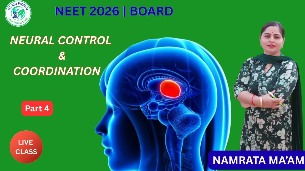Neural Control and Coordination Part 4 | Mid Brain & Hind Brain | Class 11 Biology | NEET