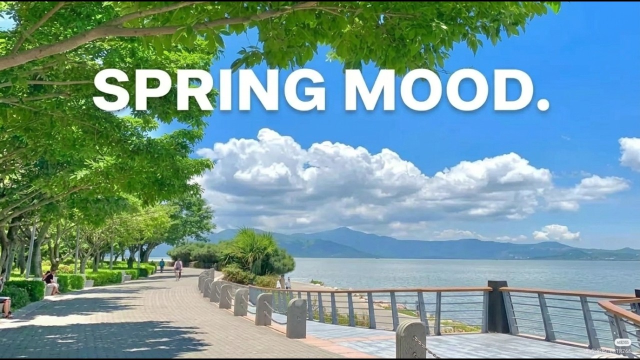 봄 오기 직전 듣는 그루브 재즈팝 & 이지 그루브팝 6시간 30분 🌸 카페·작업 플레이리스트