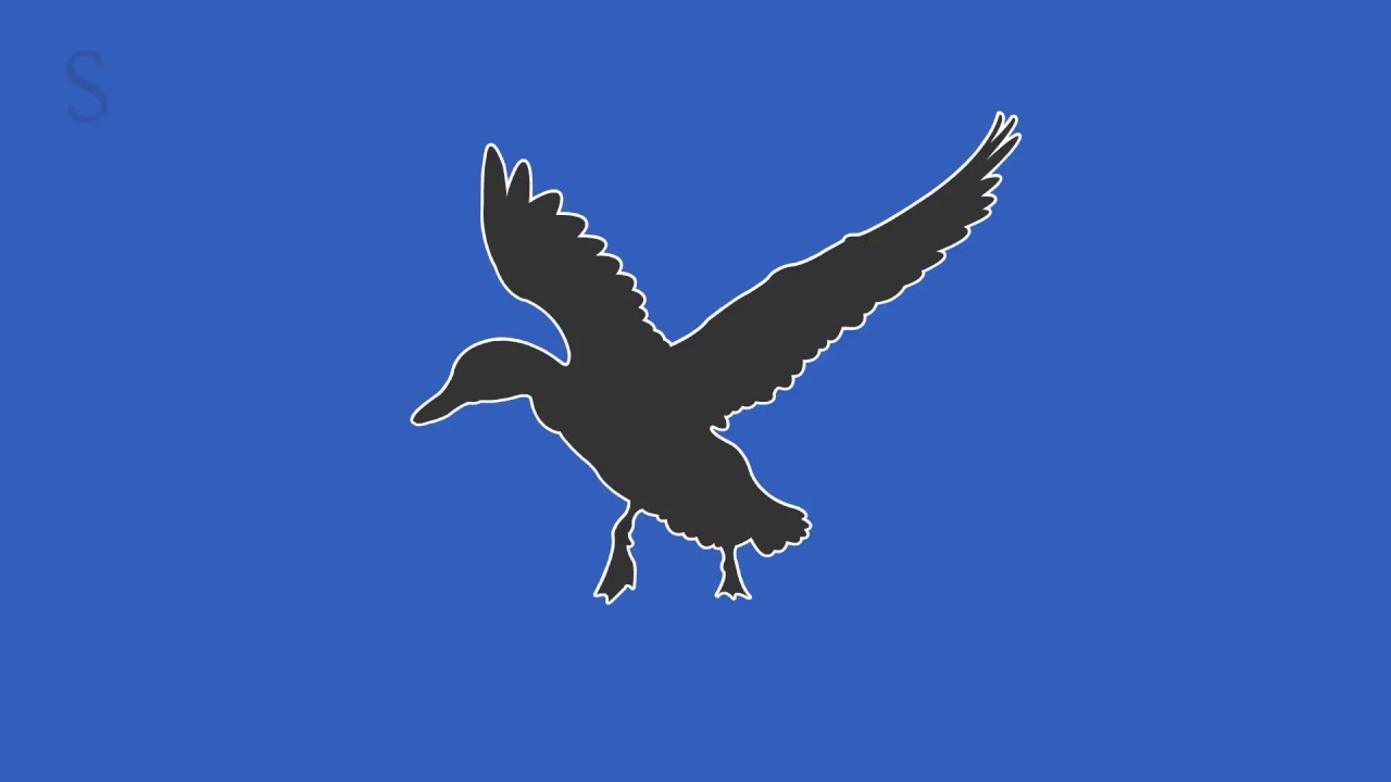Birds Flying High // Morphing, 2D Animation
