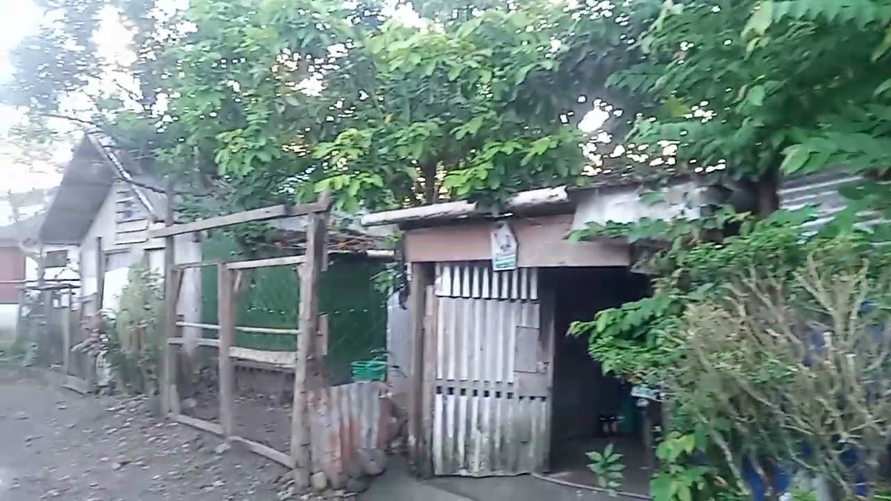 P 7 brgy sta cruz