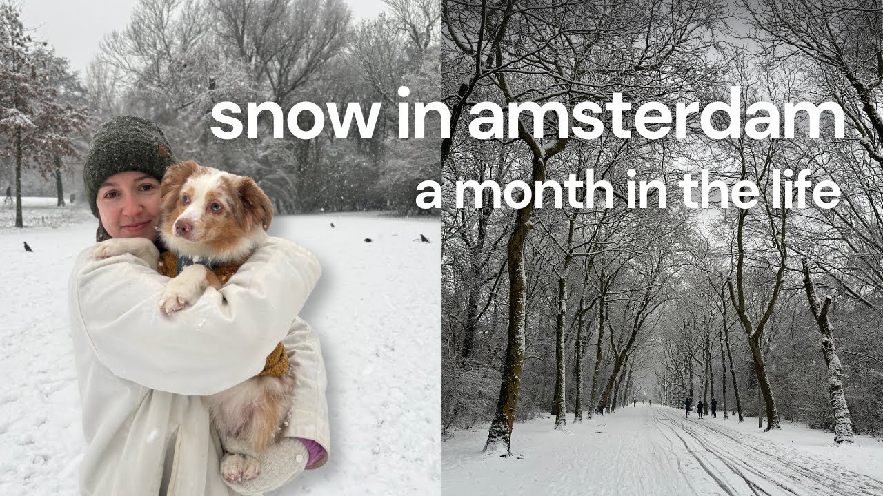 snow in amsterdam? a month in my life ☃️❄️ winter walks, cozy hobbies & dog fun!