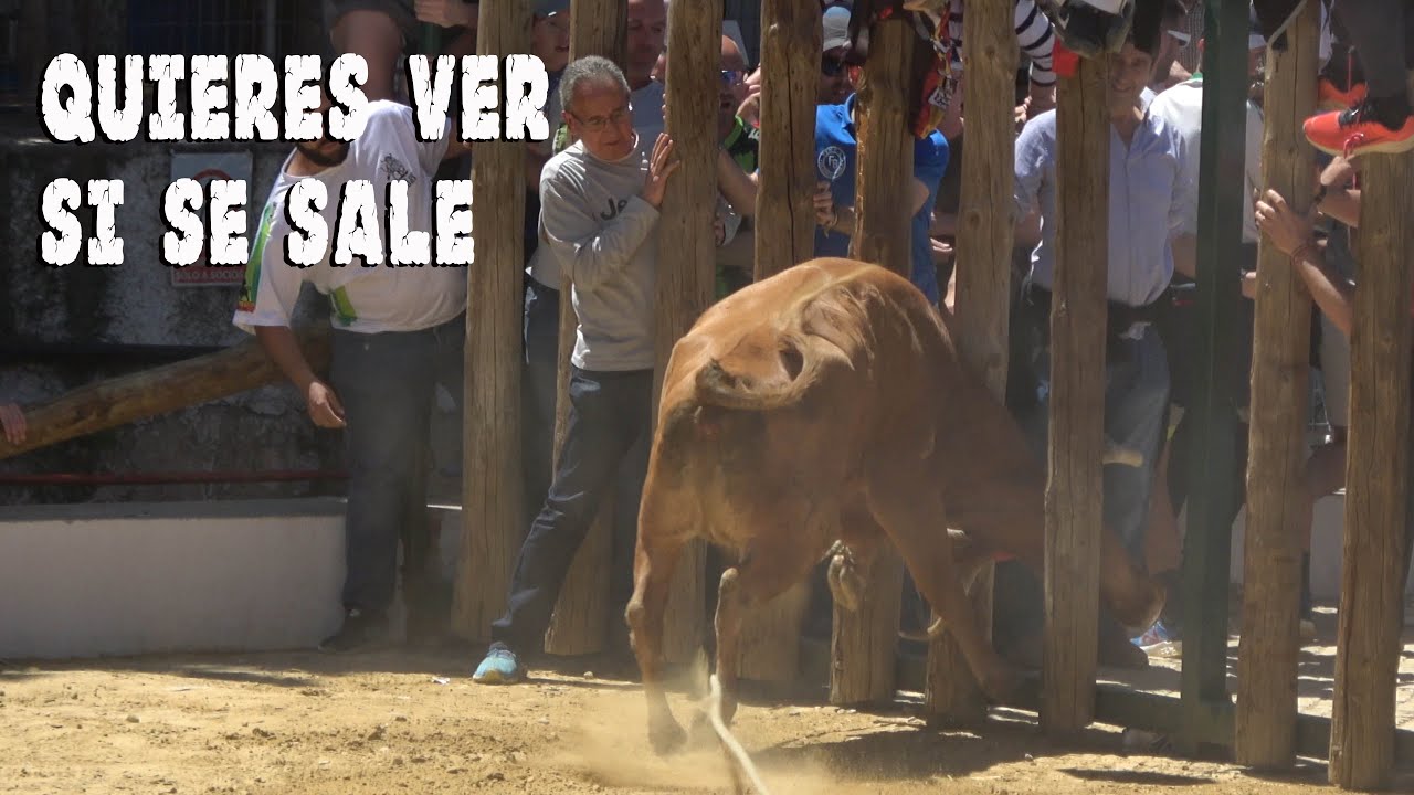 BEAS DE SEGURA 1 PARTE 2024